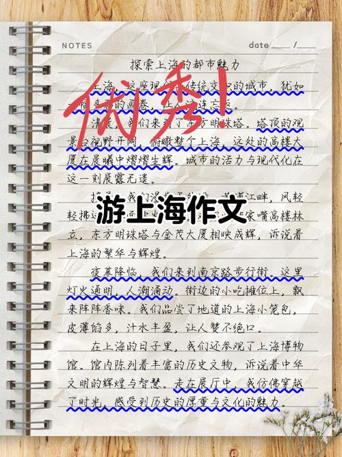 出游的作文800字初中