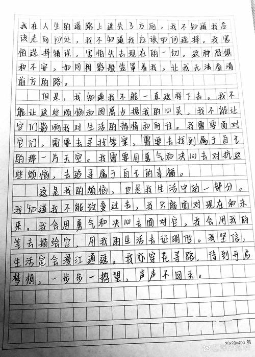 初中的烦恼800字作文