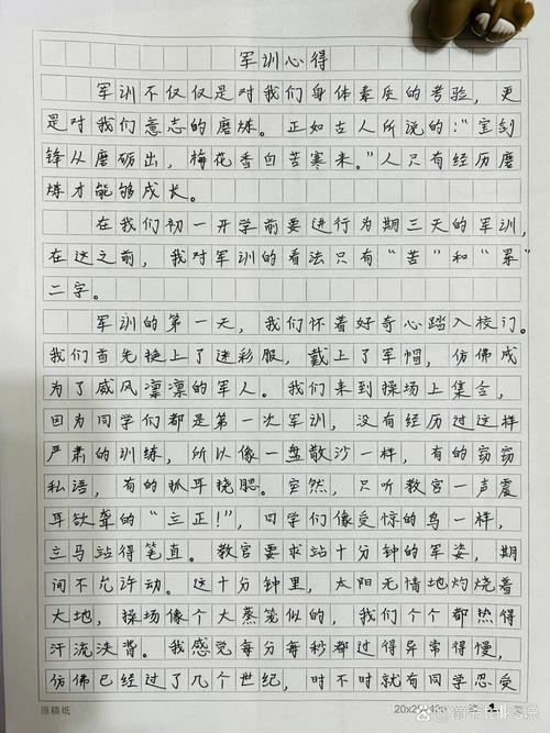 训练的初中作文500字