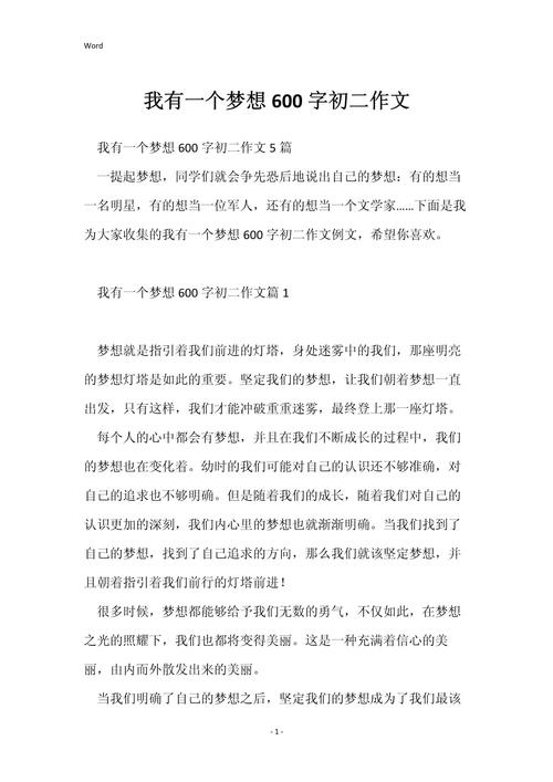 小梦想作文600字初中