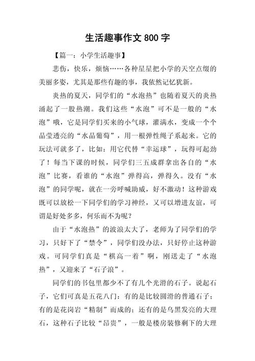 乐趣的初中800字作文