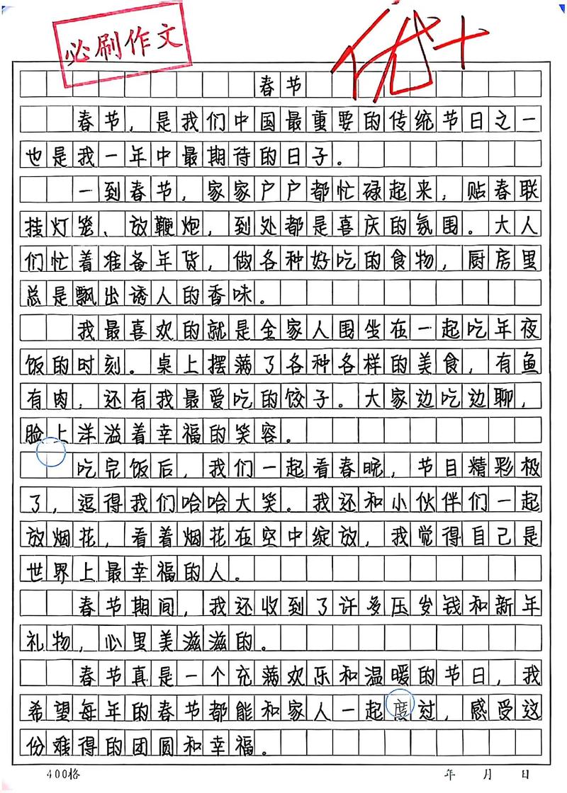 g过年的准备 初中作文