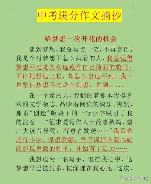 关于考上理想初中的作文