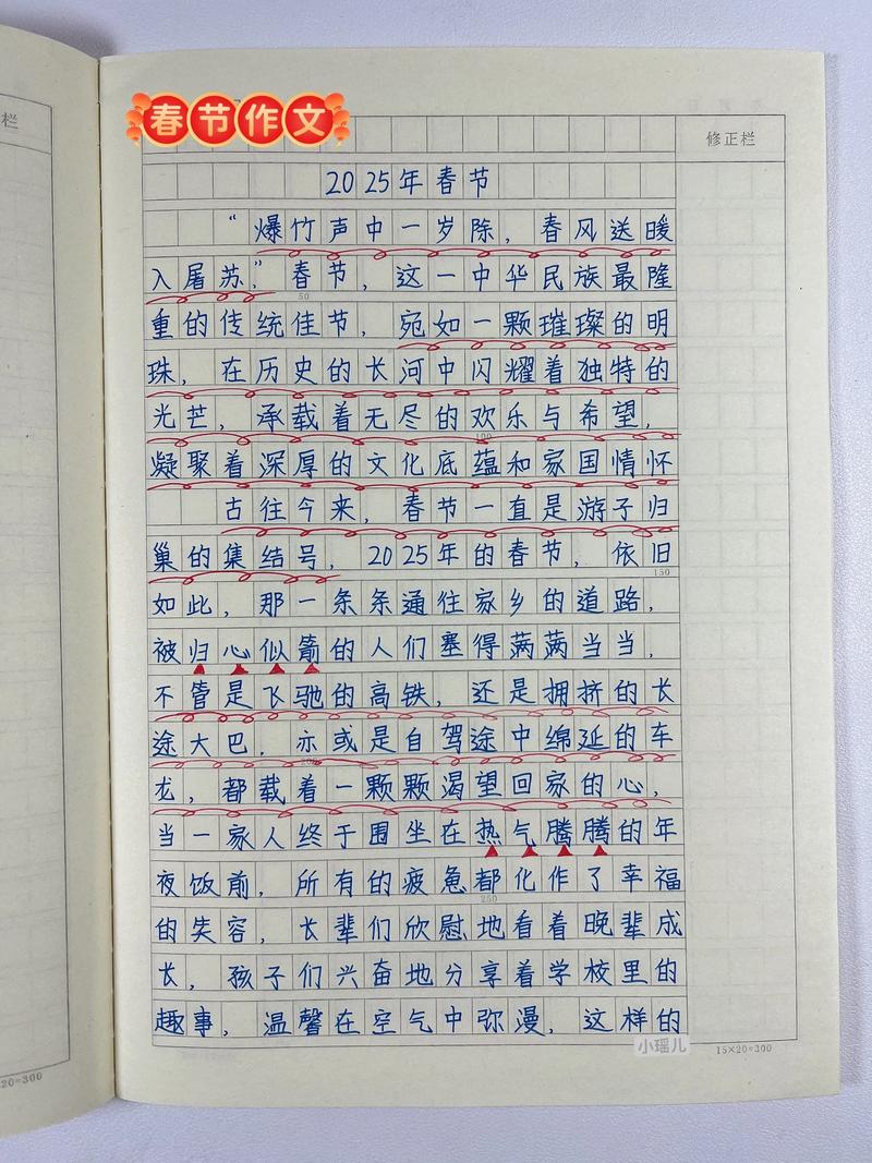 我在2025年作文初中