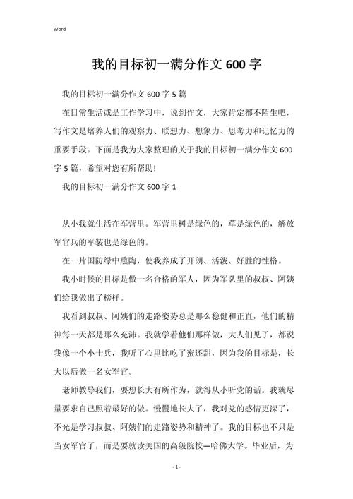 初中毕业后的目标600