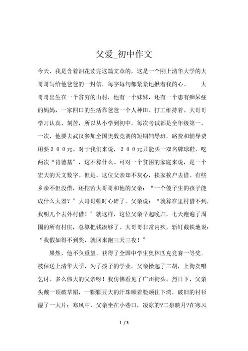 父爱的作文600字初中