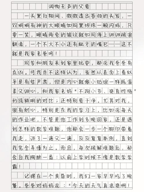 父爱的作文600字初中