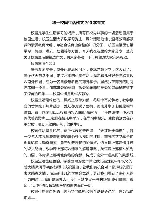 作文初中毕业后700字