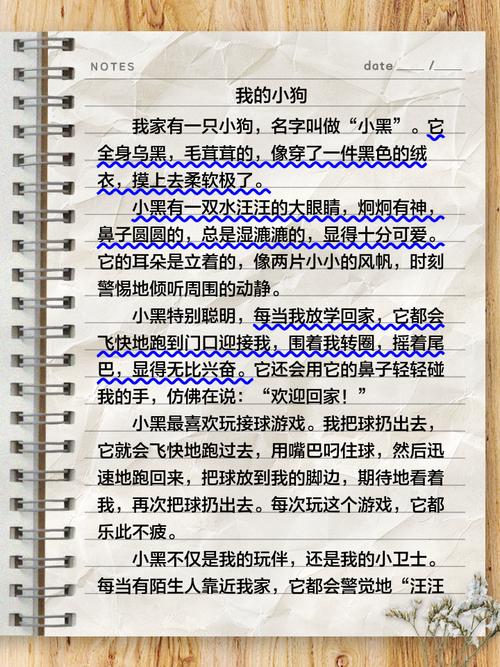 初中作文 我与我的小狗