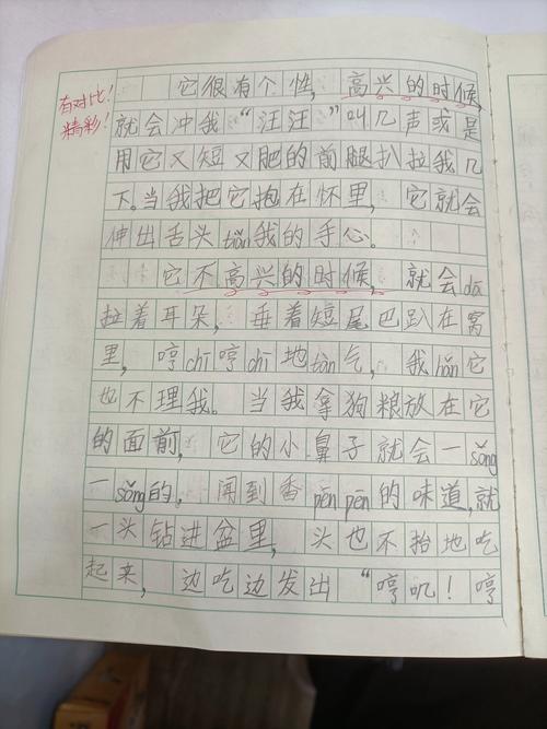 初中作文 我与我的小狗