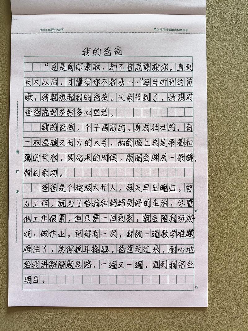 初中我的父亲作文300