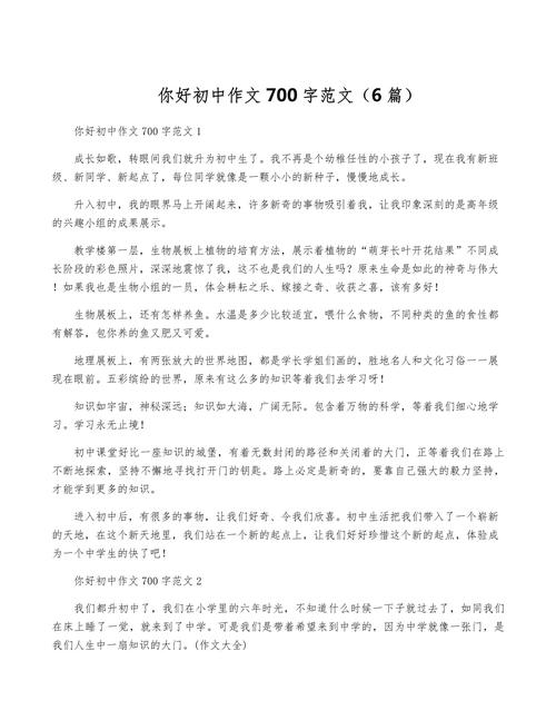 老师你好初中七百字作文