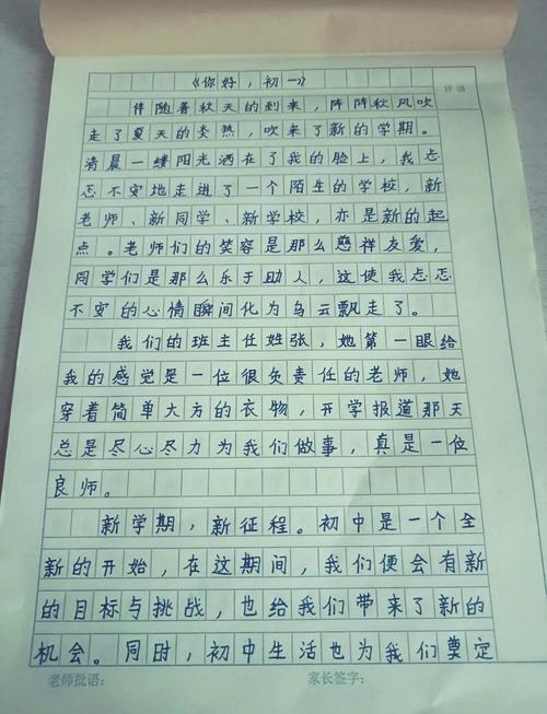 老师你好初中七百字作文