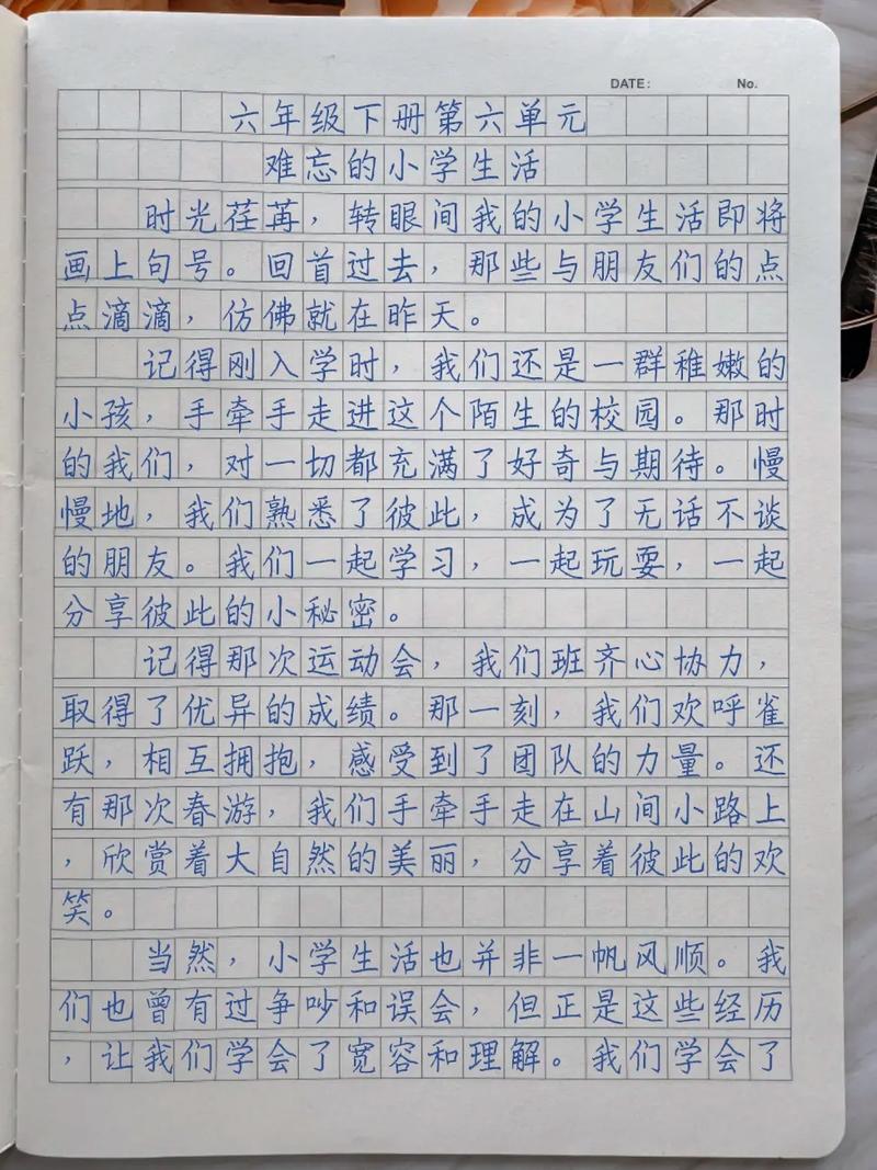 我喜欢小学里的什么事情