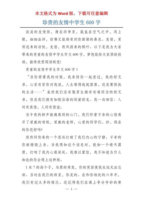 初中最珍贵作文600字