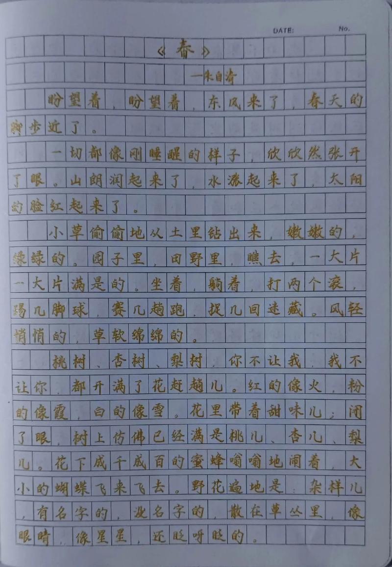 练笔100字60篇初中