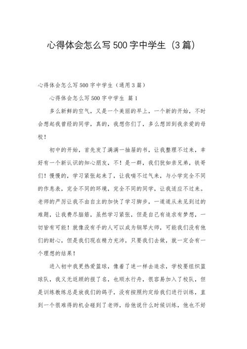 刚进入初中的感受500