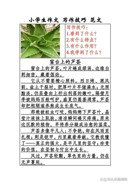 小学生作文写作技巧大全