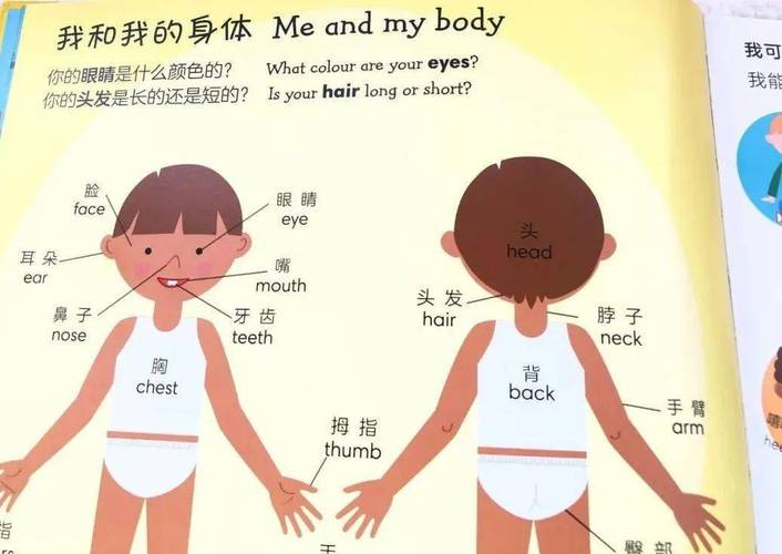 身体部位英语早教视频