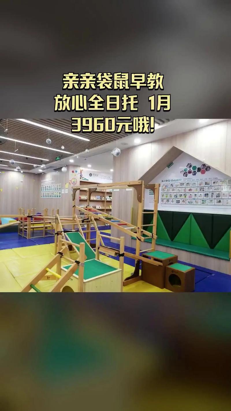 青岛亲亲袋鼠早教收费