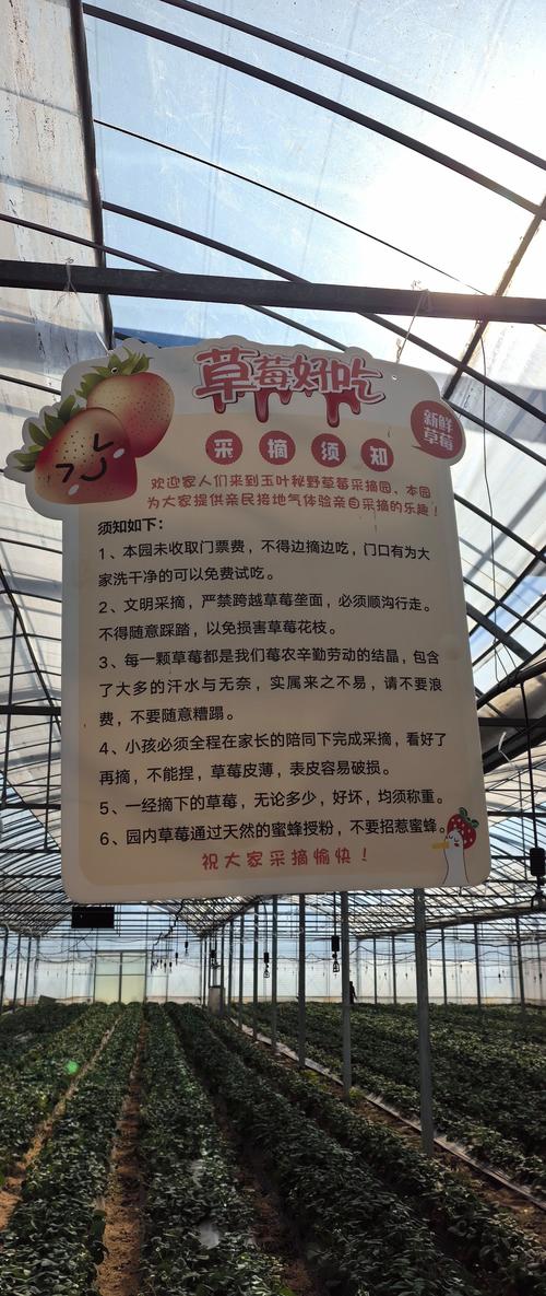 早教中心亲子采摘方案