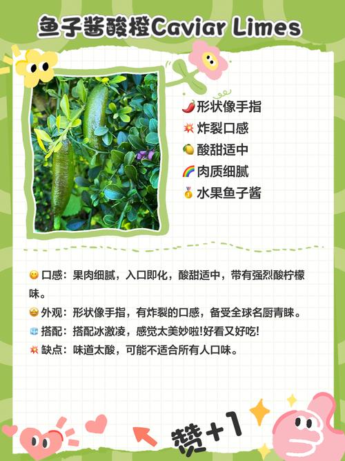 早教中心亲子采摘方案