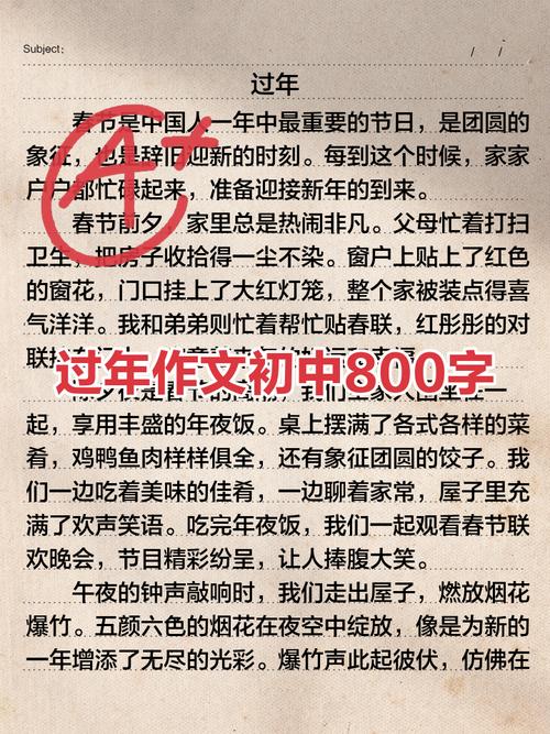 别样的春节800字初中