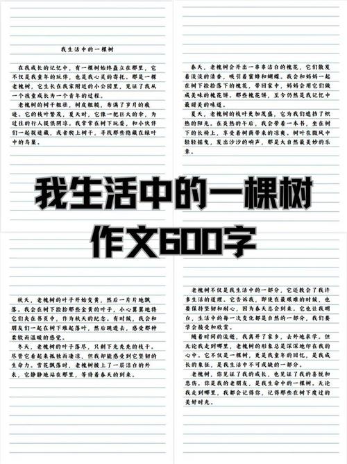 初中愿望树作文500字