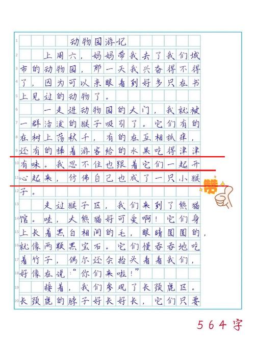 小学生500字作文大全