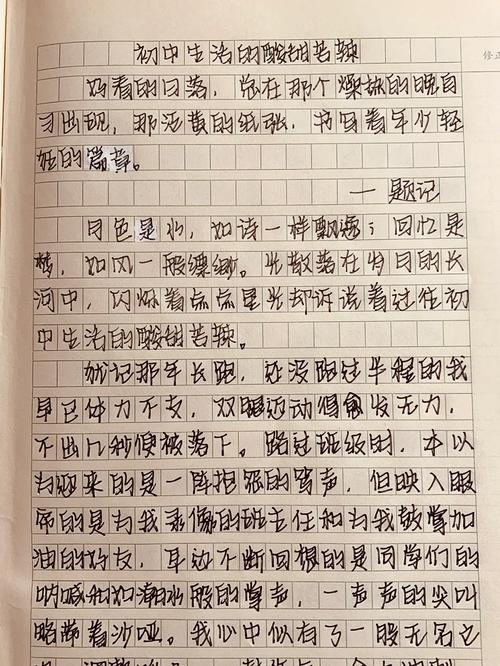 初中的生活苦辣酸甜作文
