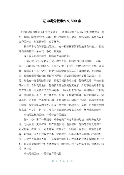 初中我欣赏什么800字