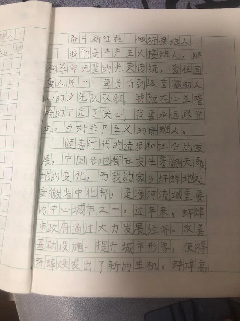 我为祖国做点事作文初中