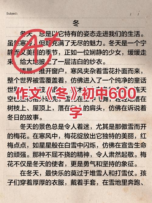 冬天的校园600字初中