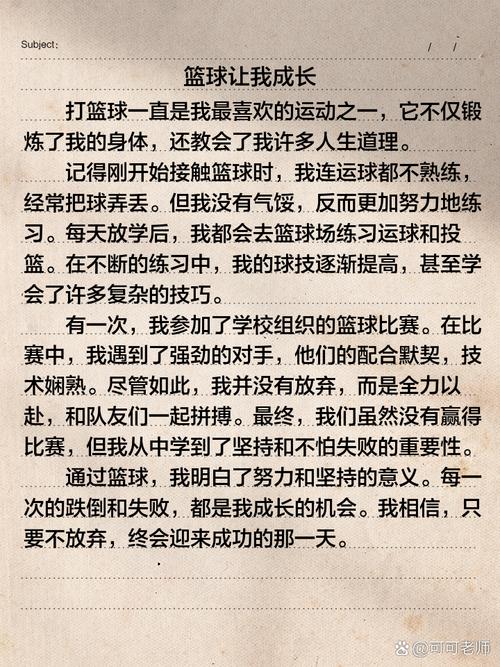 初中随笔打篮球200字