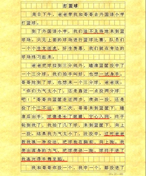 初中随笔打篮球200字