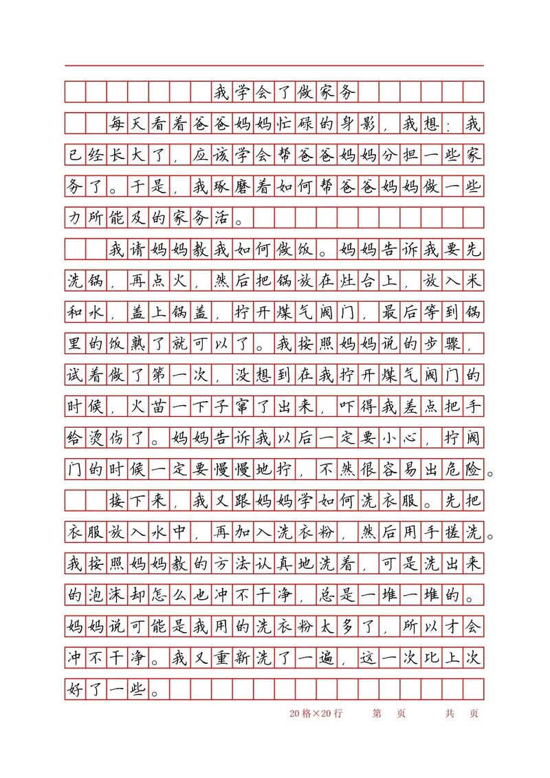 我会做家务300字初中