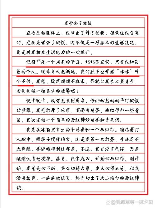 做饭的作文400字初中
