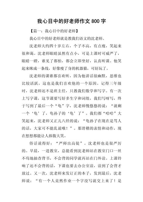 教师的作文800字初中