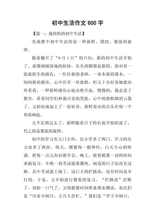 如何面对初中的生活作文
