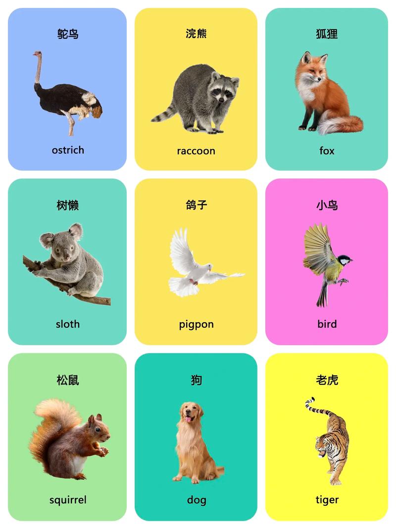 幼儿英语早教单词动画