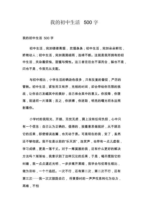 今年我初中作文500字
