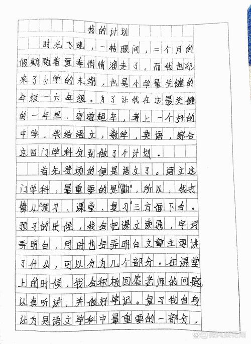 进入初中打算作文700