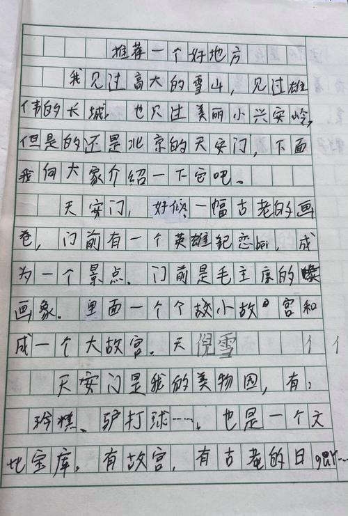 初中的想法作文500字