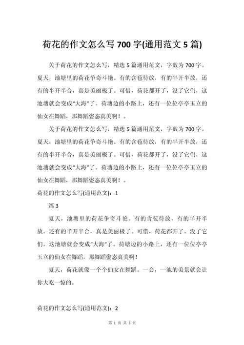 夏天的作文700字初中