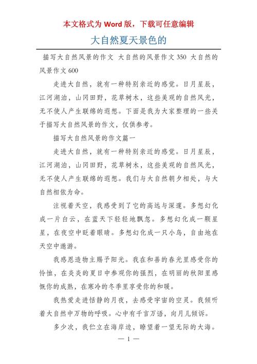 夏天的作文700字初中