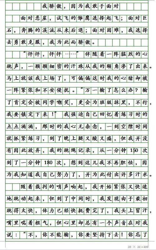 初中作文800字带评论