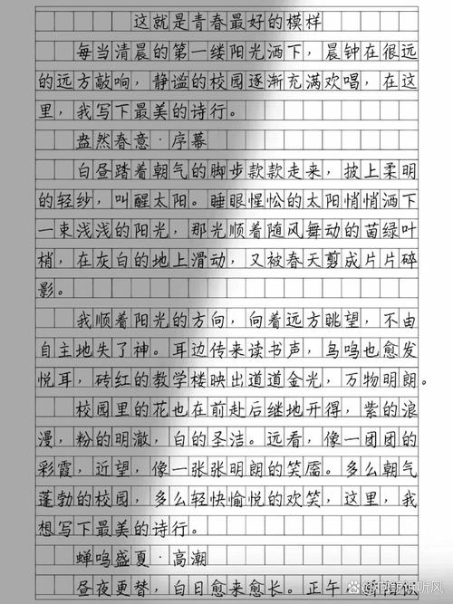 描写早晨的作文初中作文