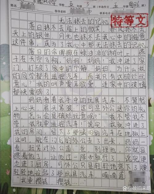 心灵上的烙印 初中作文