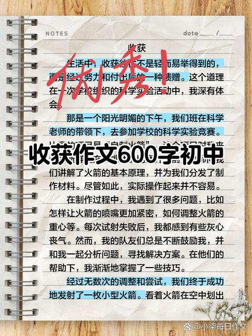 到初中的收获作文500