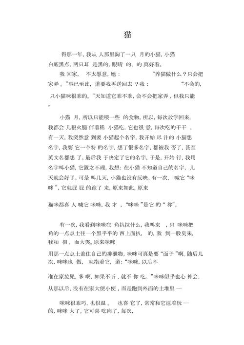 初中猫作文600字以上